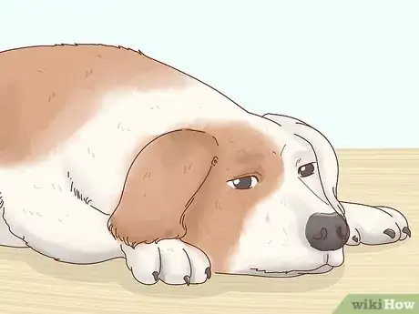Image titled Know When to Breed Your Dog Step 14