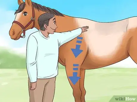 Image titled Train Your Horse for the Farrier Step 7
