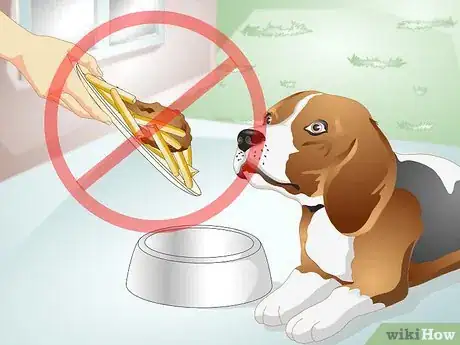 Image titled Reduce Flatulence in Dogs Step 3