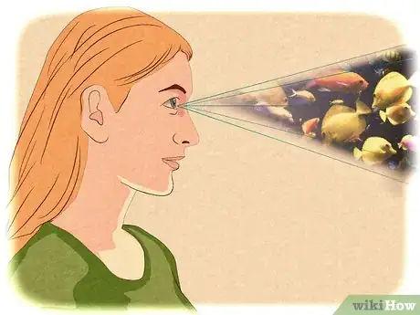 Image titled Get Rid of a Phobia by Desensitization Step 4