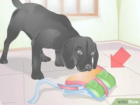 Image titled Fit a Dog Backpack Step 11