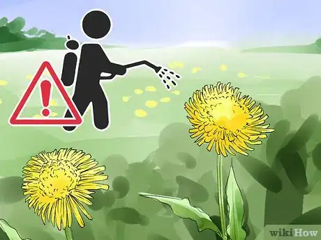 Image titled Harvest Dandelions Step 3