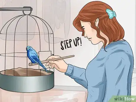 Image titled Perch Train Your Parakeet Step 2