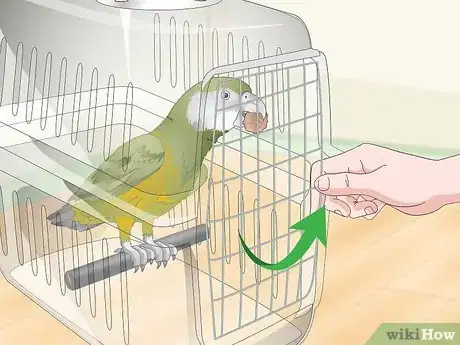 Image titled Deal with a Fearful or Stressed Senegal Parrot Step 18