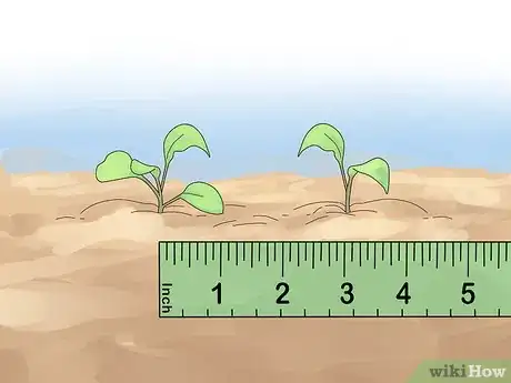 Image titled Prune Petunias Step 11