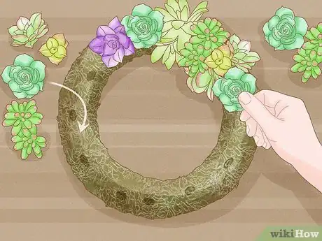 Image titled Make a Succulent Wreath Step 6