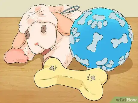 Image titled Look After Your First Puppy Step 5