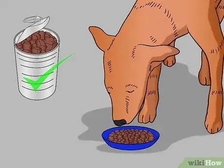 Image titled Keep Your Dog in Shape Step 9