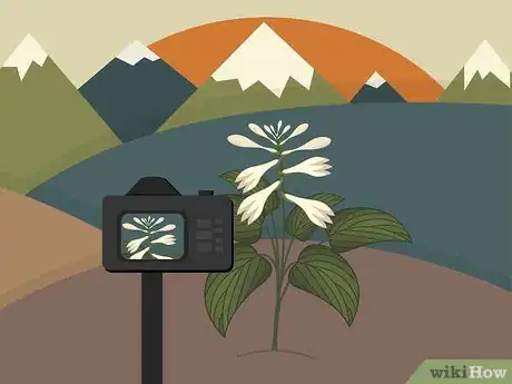Image titled Take Photos of Mountains Step 13