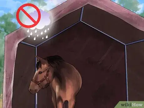 Image titled Treat Skin Disorders in Horses Step 2