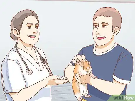 Image titled Get Your Guinea Pig to Popcorn Step 9