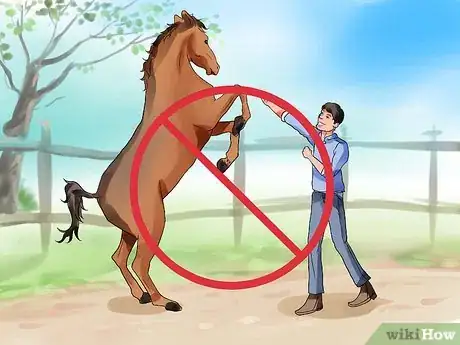 Image titled Be Comfortable Around a Bad‐Tempered Horse Step 1