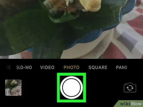 Image titled Use AE_AF Lock on an iPhone Camera Step 4