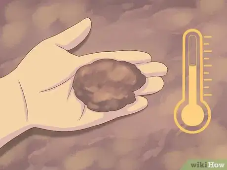 Image titled Grow Cucumbers Step 8