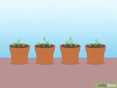 Image titled Propagate Azaleas Step 41