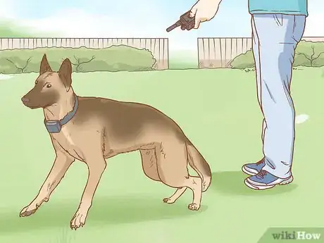 Image titled Use a Pager Collar Step 9