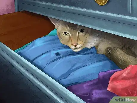 Image titled Take Care of a Singapura Cat Step 5