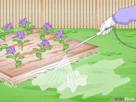 Image titled Kill Purslane Step 9