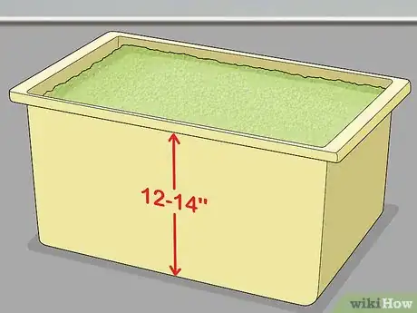 Image titled Grow Duckweed Step 3