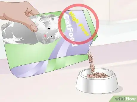 Image titled Keep a Cat Healthy Step 29