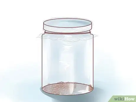Image titled Grow Alfalfa Sprouts Step 6