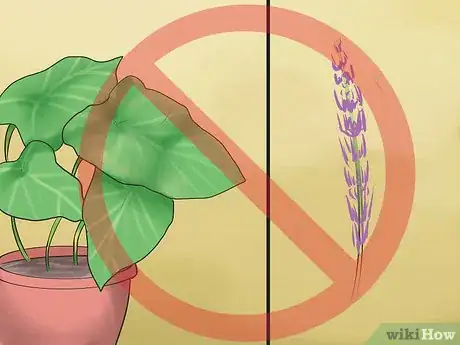 Image titled Prevent Poisoning in Pet Rabbits Step 3