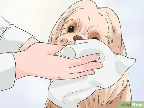 Image titled Groom a Shih Tzu at Home Step 11
