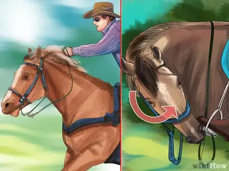 Image titled Ride an Icelandic Horse Step 2