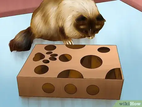 Image titled Feed a Cat Using Food Puzzles Step 8
