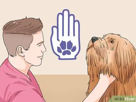 Image titled Identify a Puli Step 6