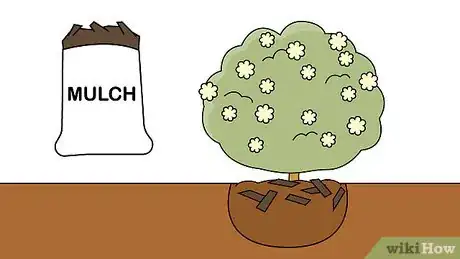 Image titled Plant Viburnum Step 13