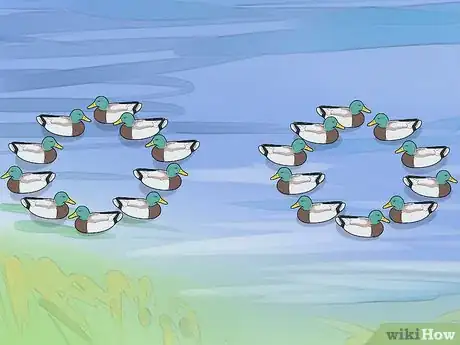 Image titled Set Duck Decoys Step 8