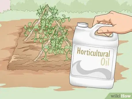Image titled Use Organic Pesticides for Gardening Step 2