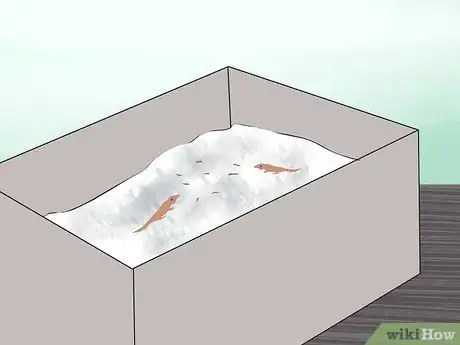 Image titled Take Care of Lizard Eggs Step 16