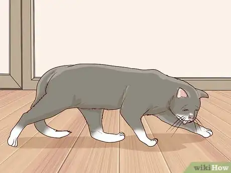 Image titled Handle Brachycephalic Airway Syndrome in Cats Step 10