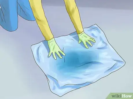 Image titled Get Dog Smell Out of a Basement Step 2