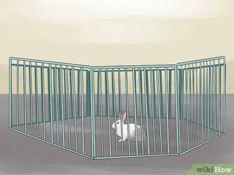Image titled Prevent Poisoning in Pet Rabbits Step 5