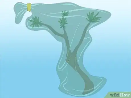 Image titled Propagate Azaleas Step 14