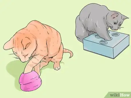 Image titled Prevent Fights Between Cats Step 3