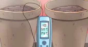 Germinate Cannabis Seeds