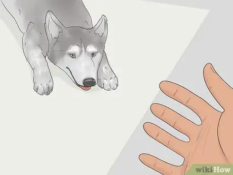 Image titled Teach a Dog to Bow Step 14