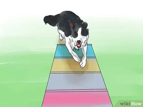 Image titled Become Your Dogs' Playmate Step 8