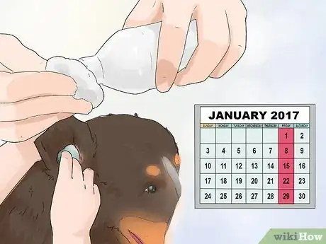 Image titled Groom a Greater Swiss Mountain Dog Step 16