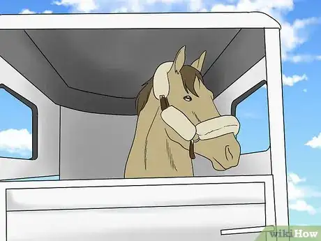Image titled Load a Frightened Horse Into a Horse Trailer Step 16
