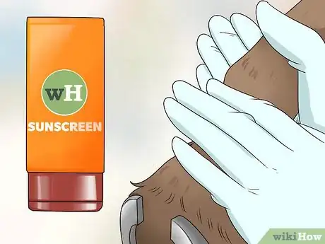 Image titled Treat Grease Heel in Horses Step 14