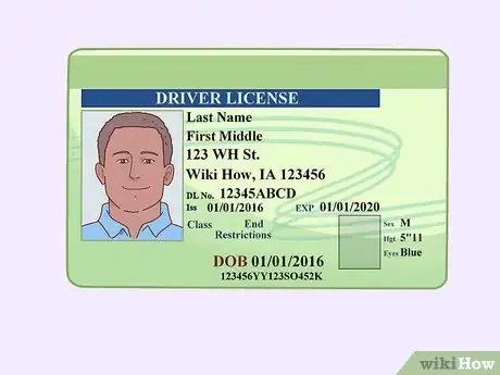 Image titled Transport a Horse Step 1