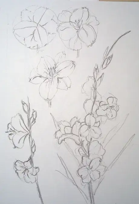 Image titled Drawglads