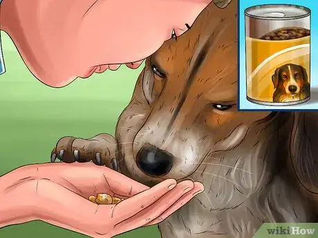 Image titled Get a Dog to Vomit Step 3