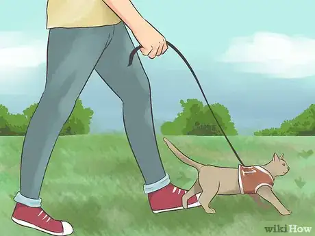 Image titled Keep a Cat Indoors Step 15