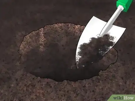 Image titled Grow Oleander Step 6